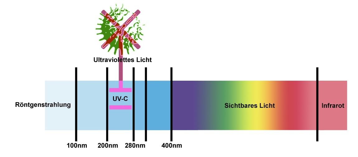 Darstellung der keimtötenden Wirkungsweise von UV-C Strahlung